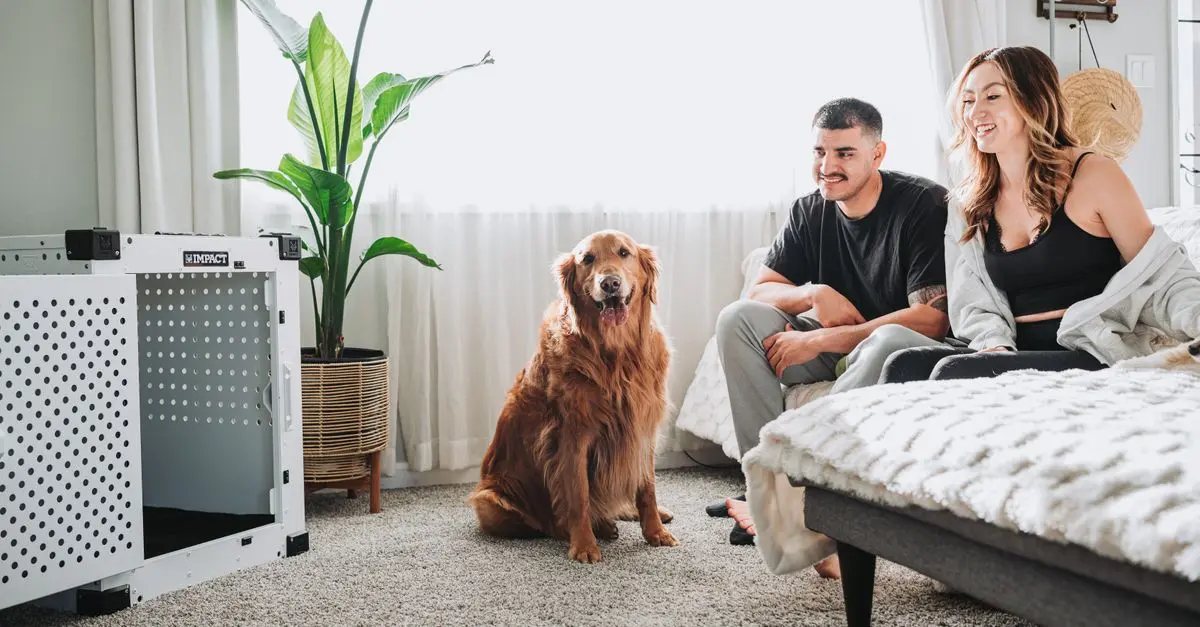 Essential Pet Safety Tips for a Safe Home Environment
