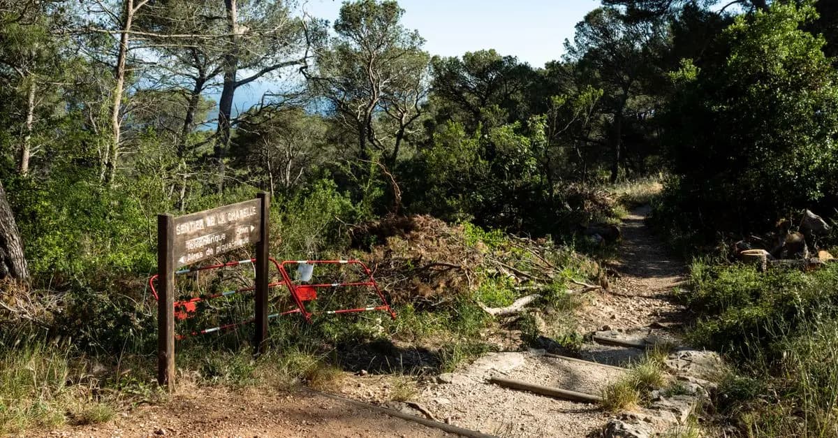 Guide d'achat des meilleures chaussures de trail